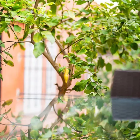 Aurea Vaticano Ferienhaus Rom