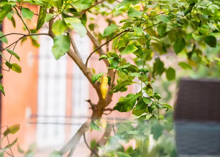 Aurea Vaticano بيت للعطل روما